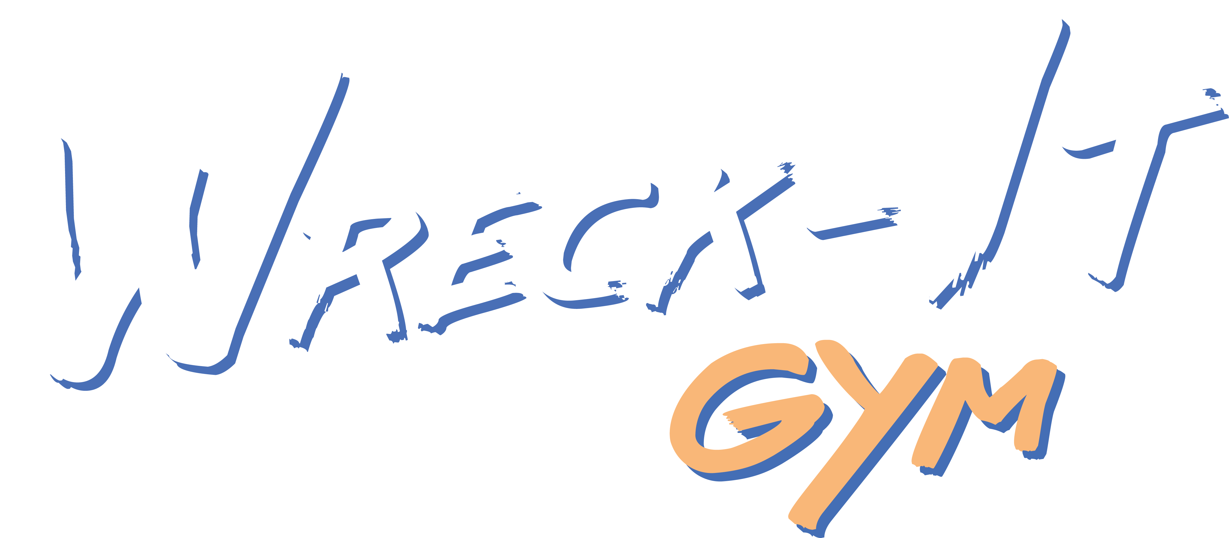 Wreck-It Gym